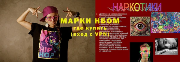 сатива Верея