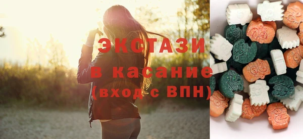 индика Верхний Тагил