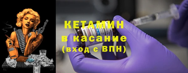 сатива Верея