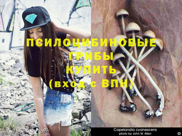 мдма Болохово