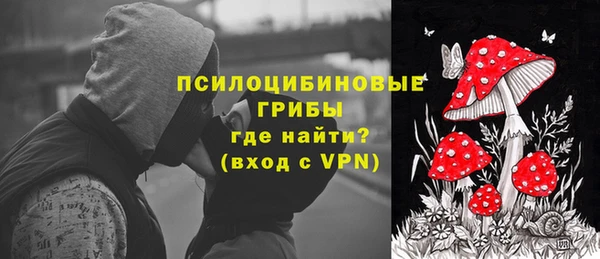 сатива Верея