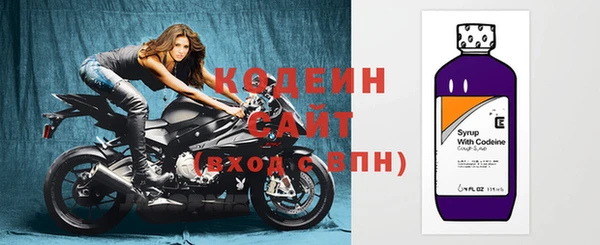 спиды Богородицк