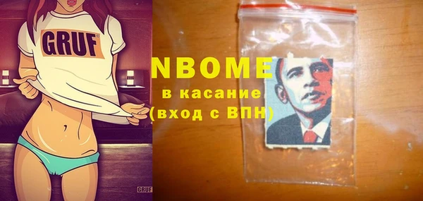 индика Верхний Тагил