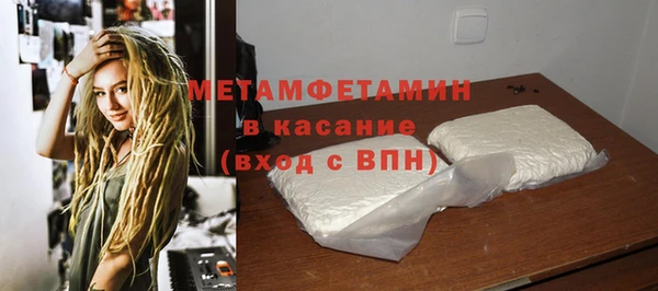 индика Верхний Тагил
